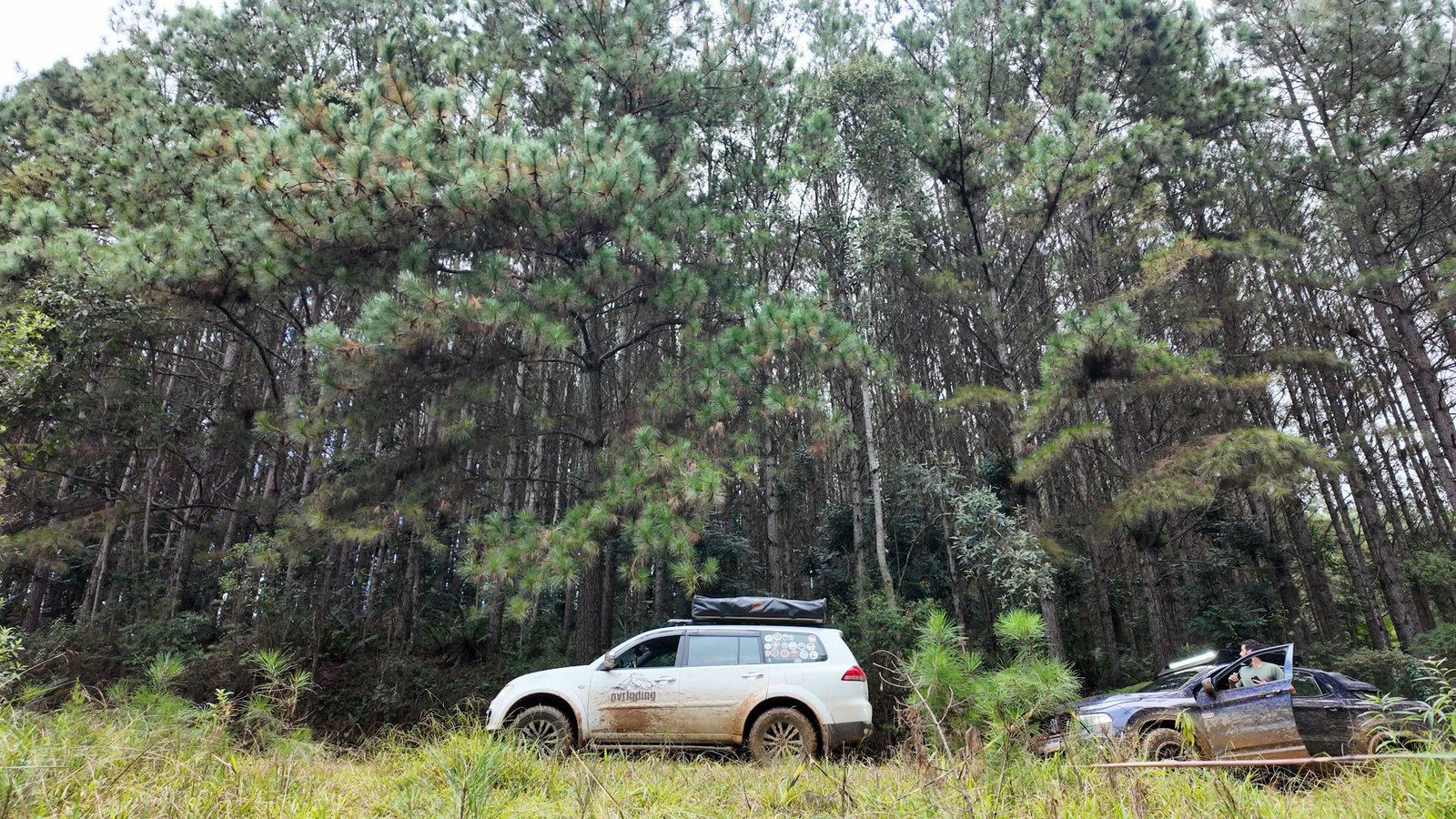 Veículos percorrendo uma trilha entre árvores no Quiriri